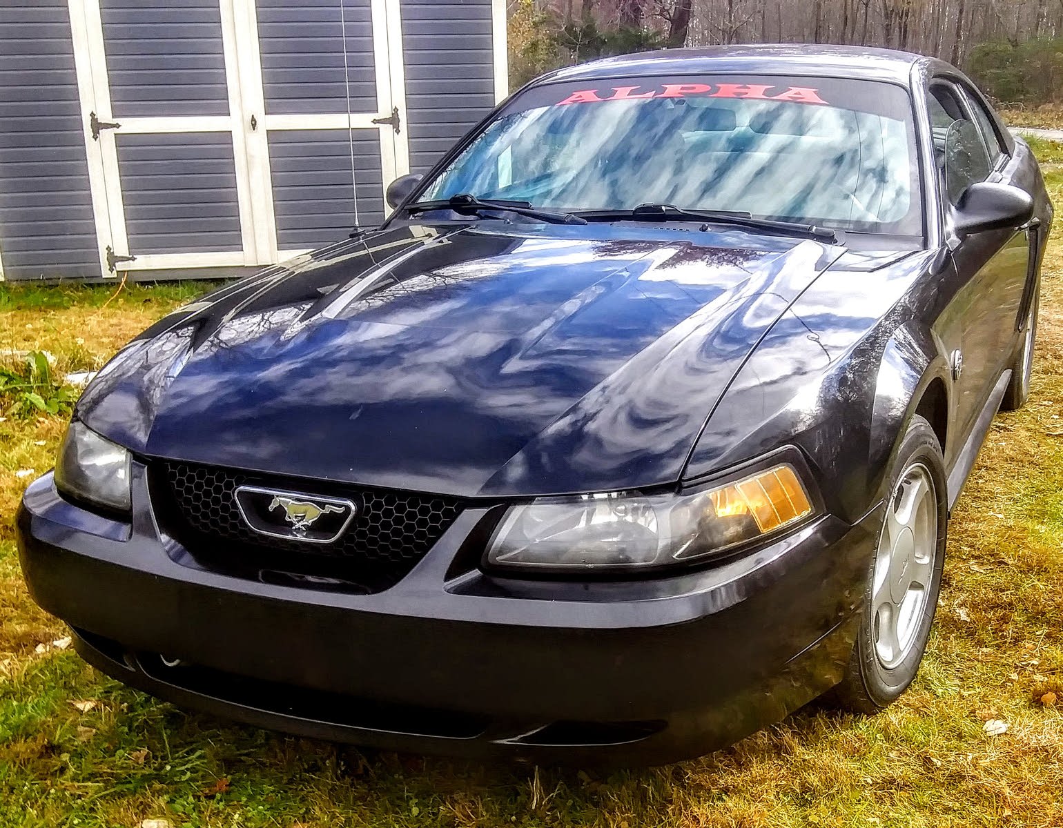 Ford Mustang Questions 04 Mustang Cargurus