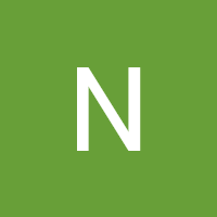 Nick's profile image
