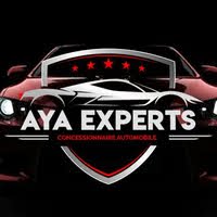 Aya Experts Inc. logo