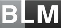 Brickell Luxury Motors logo