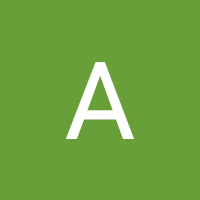 Alvin's profile image
