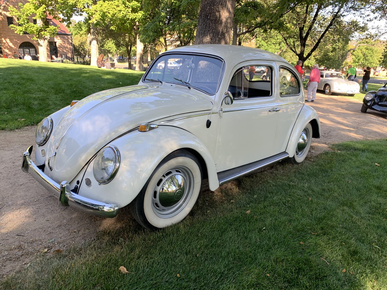 Volkswagen Beetle Questions