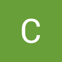 Curtis's profile image