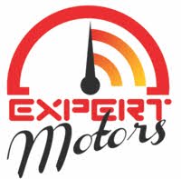 Expert Motors logo