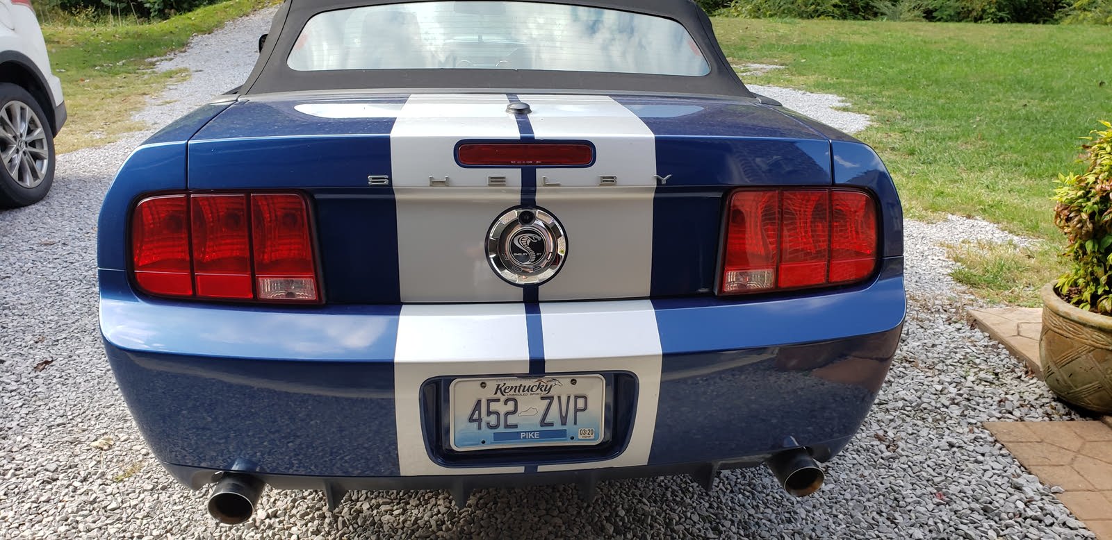 Shopping & Pricing Questions appraisal needed for Ford shelby CarGurus