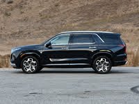 Palisade Palisade