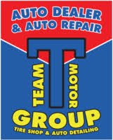 Team Motor Group logo