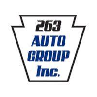 263 AUTO GROUP INC. logo
