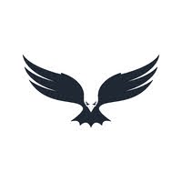 Eagle Auto Sales LLC logo