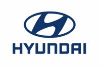 Herrnstein Hyundai logo