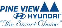 Pine View Hyundai logo