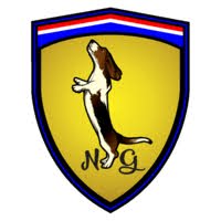 NG Supercars logo