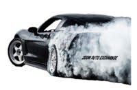 Zoom Auto Exchange logo
