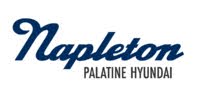 Napleton Palatine Hyundai logo